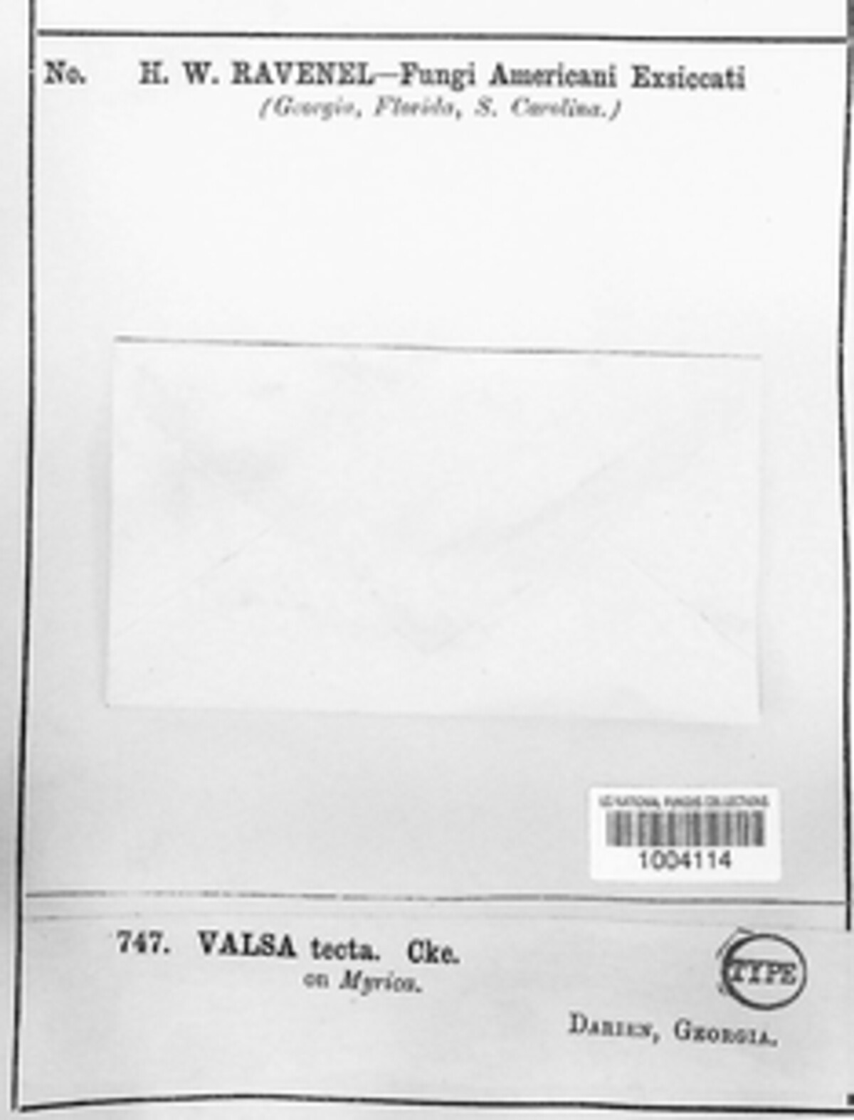 Valsa tecta image